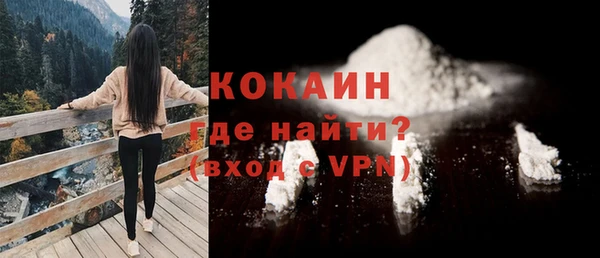 ешки Бородино