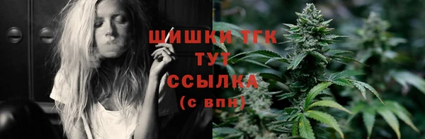 тгк Верея