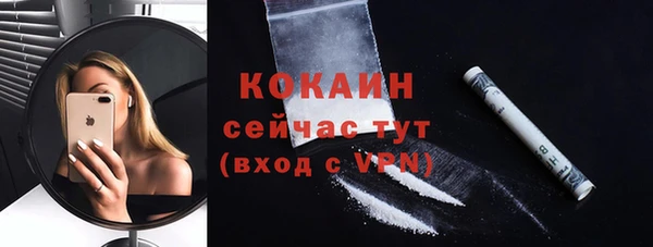 ешки Бородино