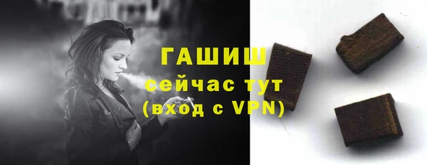 ешки Бородино