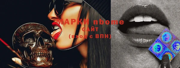 ешки Бородино