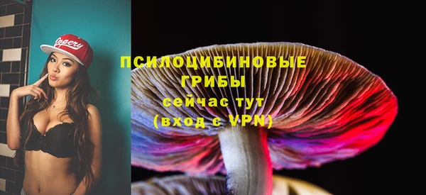 гашик Бронницы