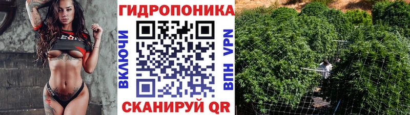 Конопля план  где продают   Барнаул 